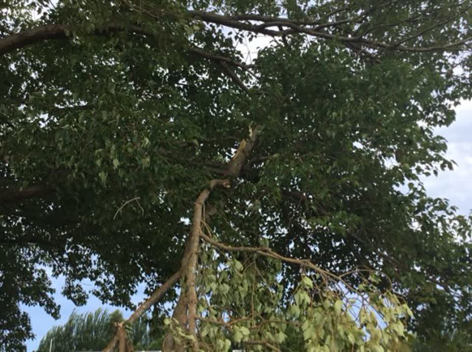 The photograph attached to this parks report