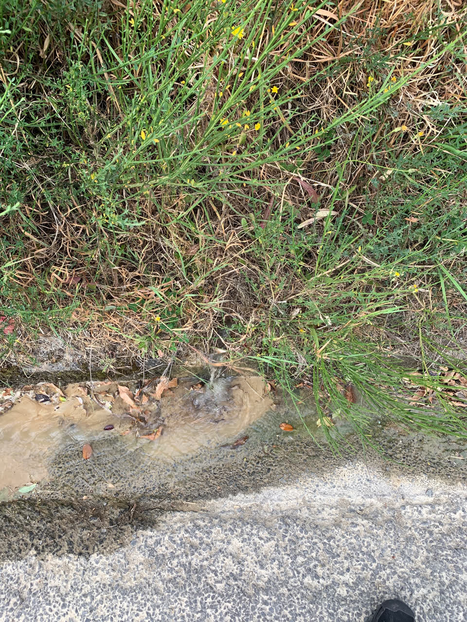 The photograph attached to this flooding report