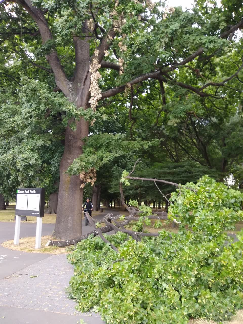 The photograph attached to this parks report