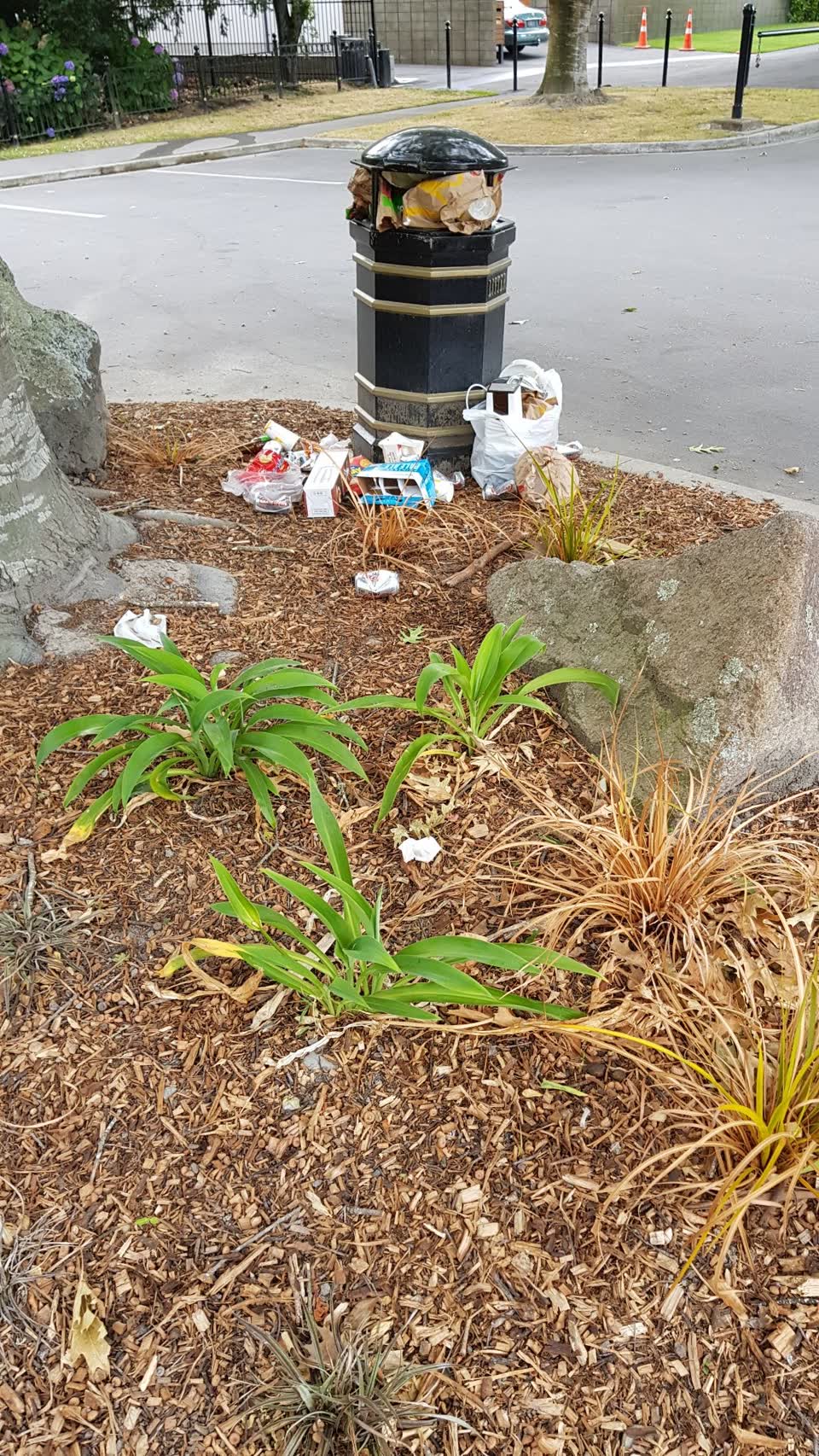 The photograph attached to this rubbish/recycling report