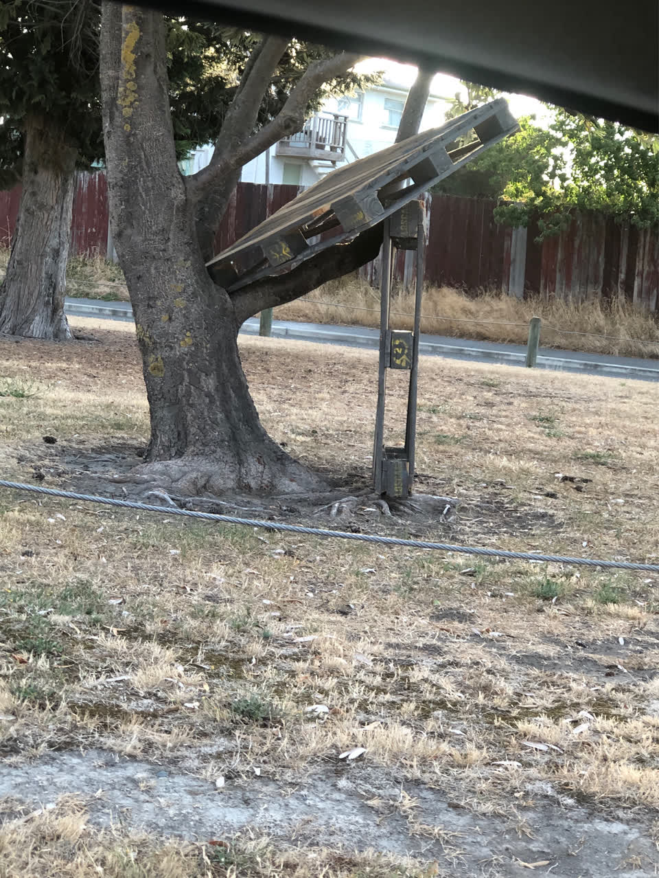 The photograph attached to this parks report