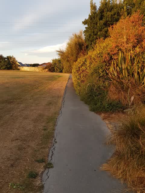 Parks, a report photo
