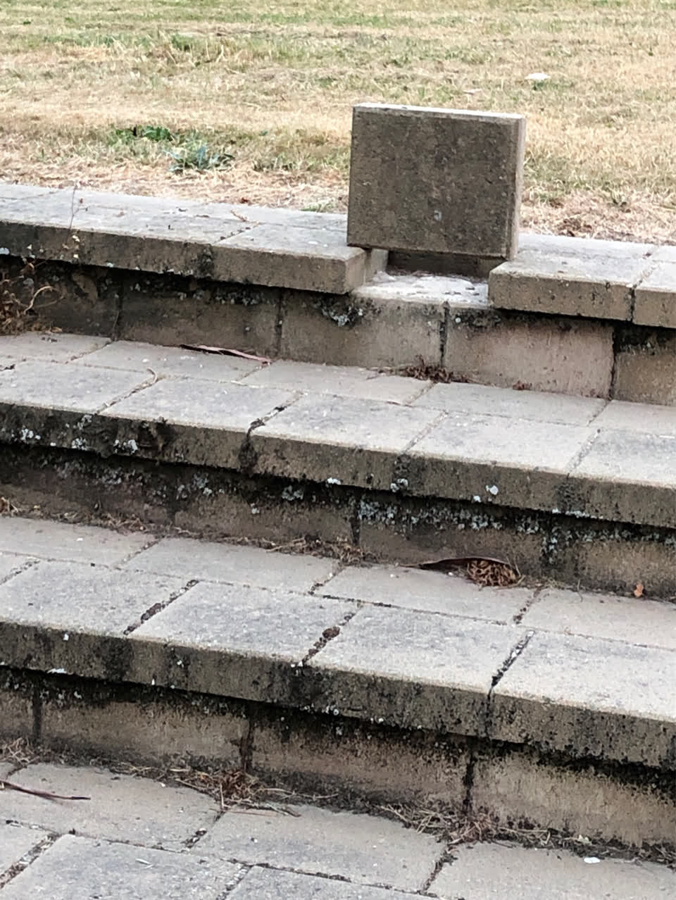 The photograph attached to this parks report