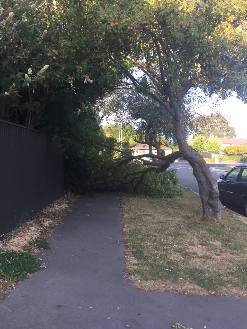 The photograph attached to this roading/streets report