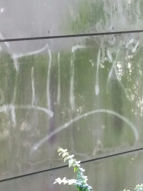 Graffiti, a report photo