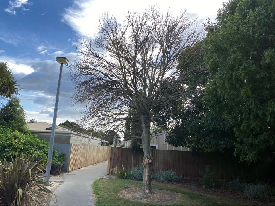 The photograph attached to this parks report