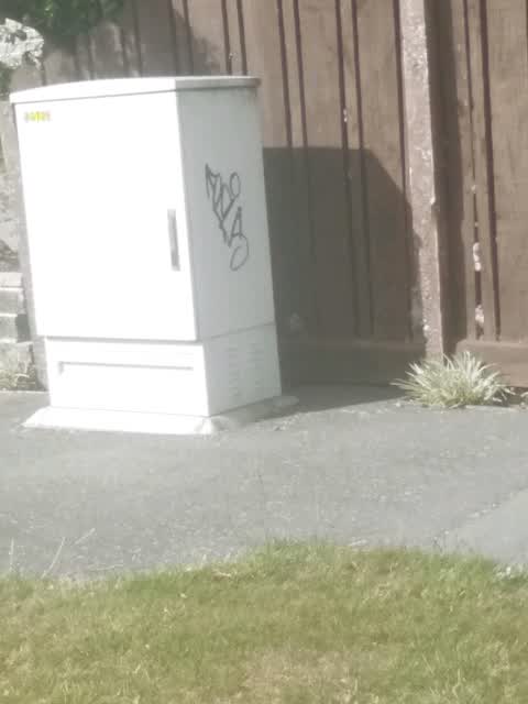 Graffiti, a report photo