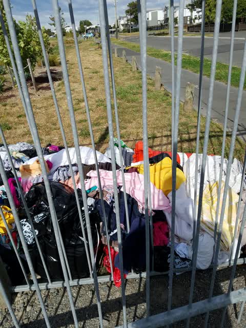 Rubbish/Recycling — a report photo