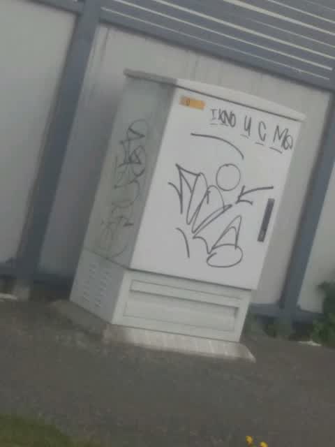 Graffiti, a report photo