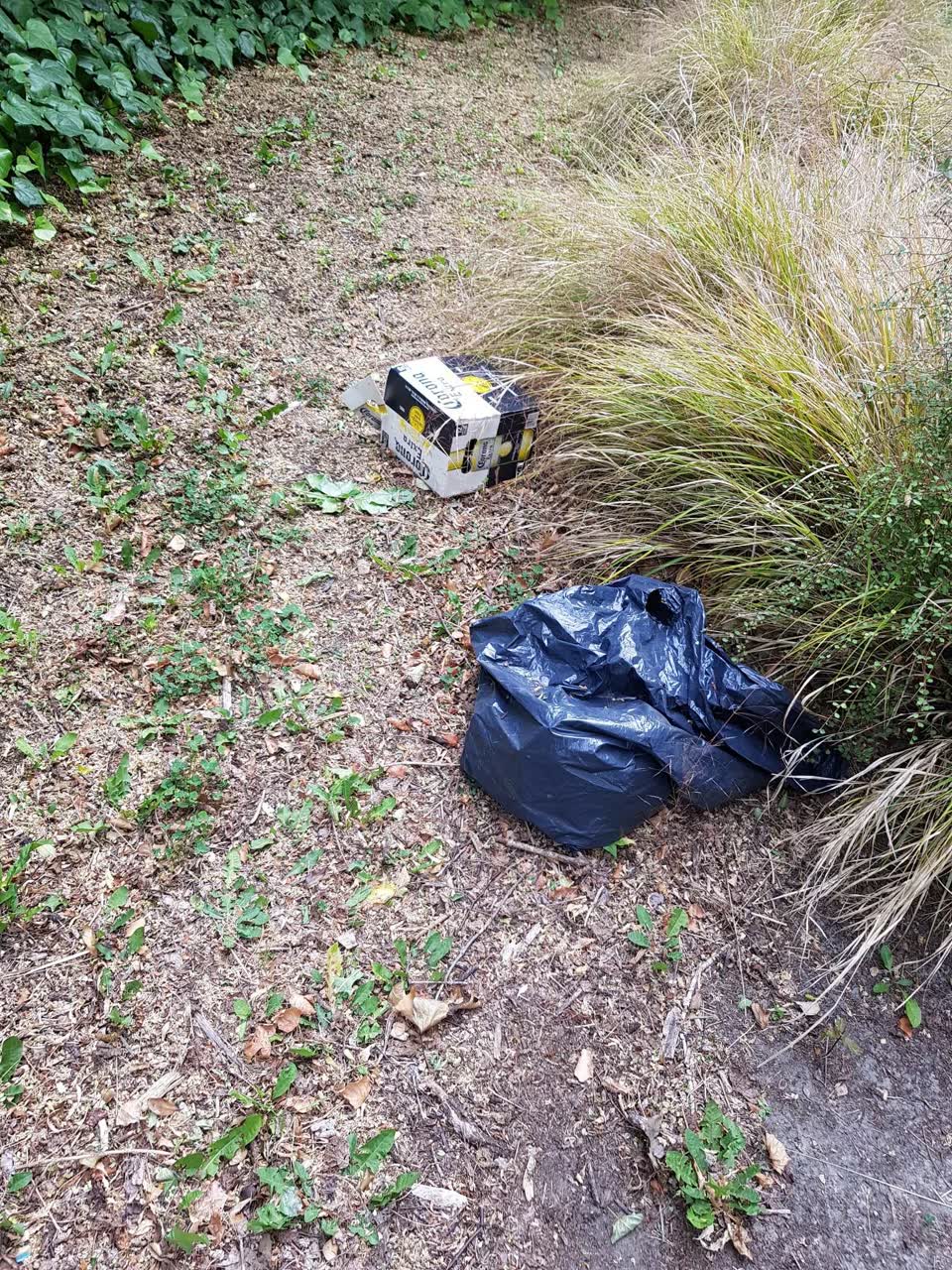 The photograph attached to this rubbish/recycling report