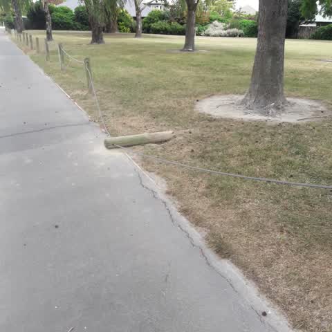 Parks, a report photo