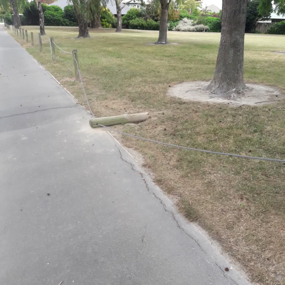 The photograph attached to this parks report