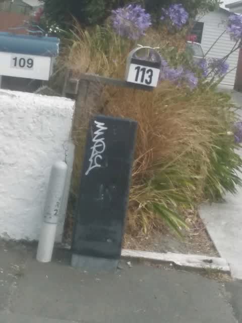 Graffiti, a report photo