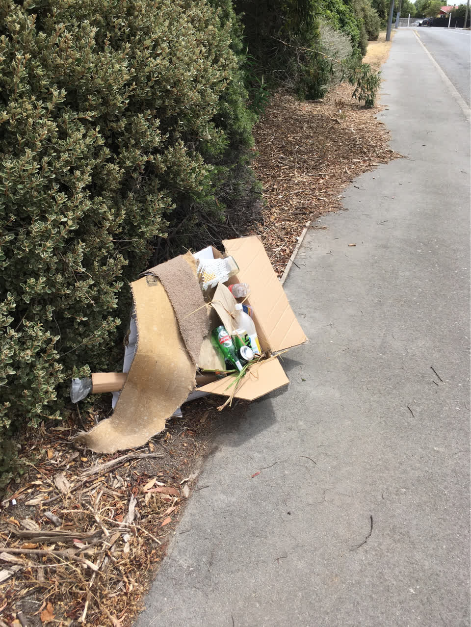 The photograph attached to this rubbish/recycling report