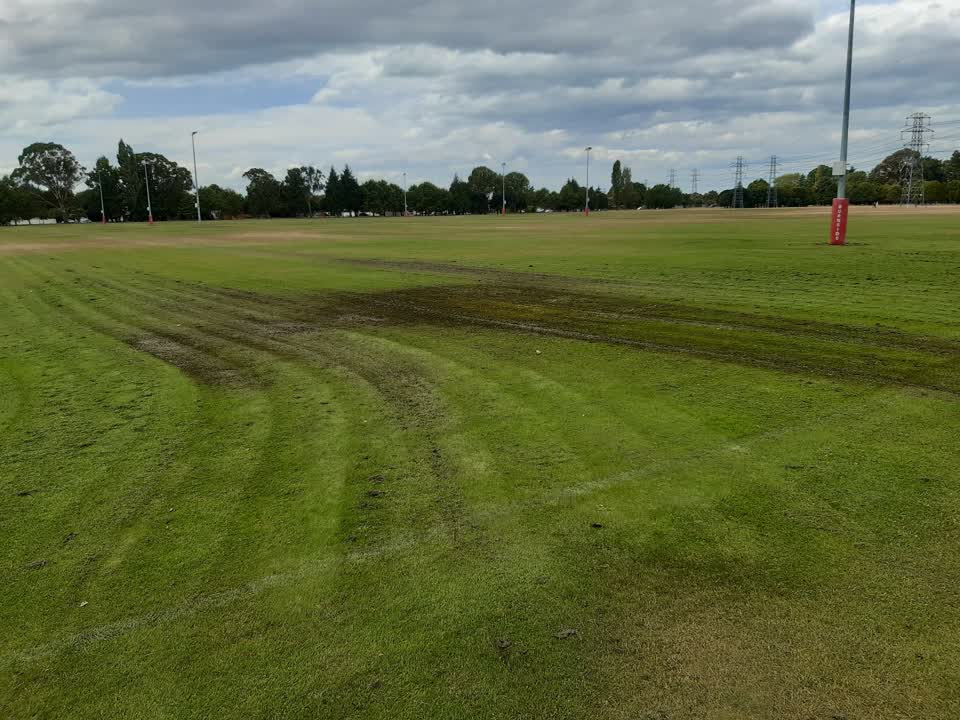 The photograph attached to this parks report