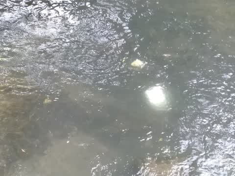 Water Supply, a report photo