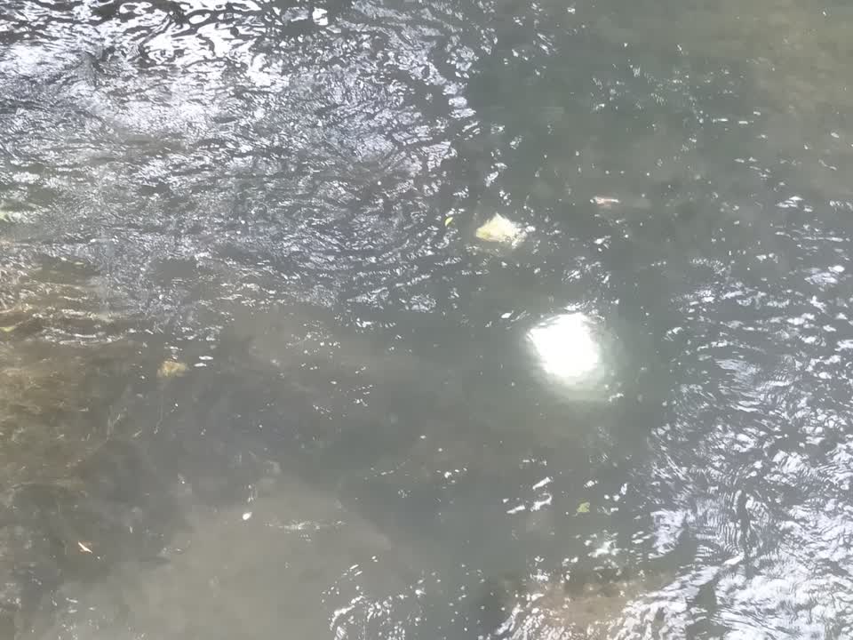 The photograph attached to this water supply report