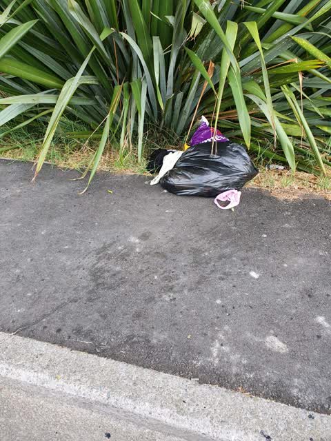 Rubbish/Recycling, a report photo