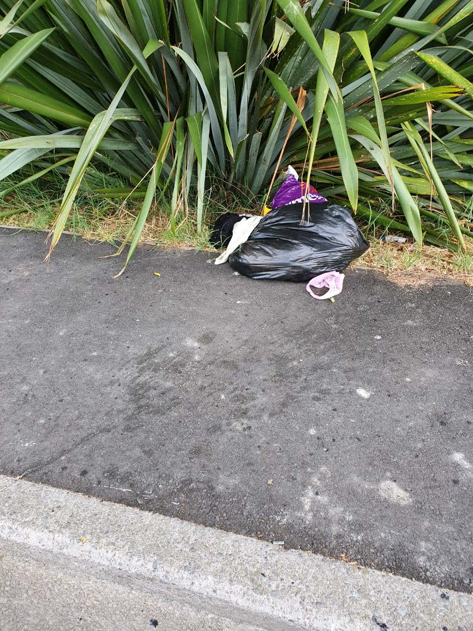 The photograph attached to this rubbish/recycling report