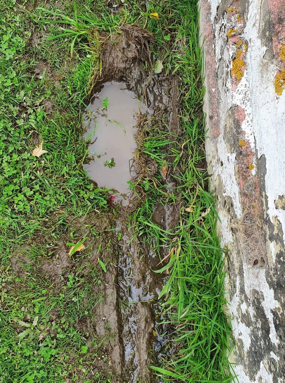 The photograph attached to this water supply report
