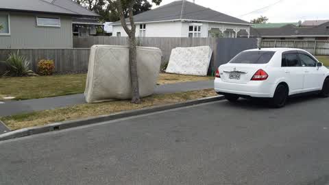 Rubbish/Recycling — a report photo