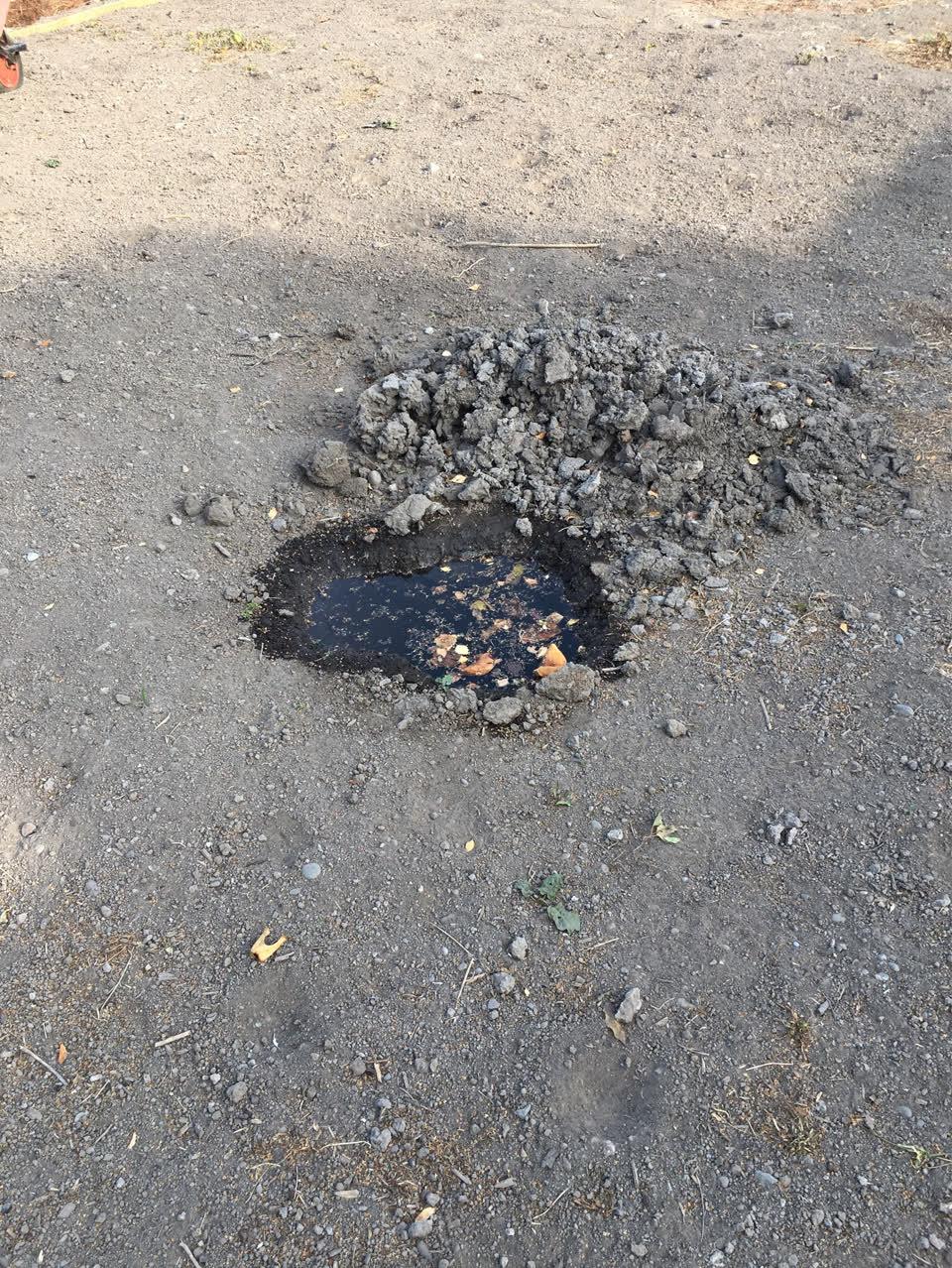 The photograph attached to this flooding report