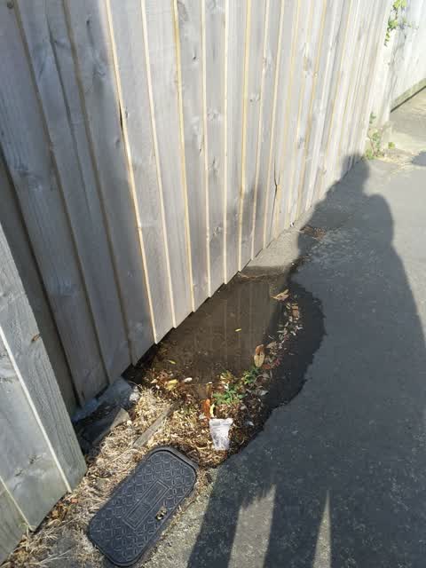 Water Supply, a report photo