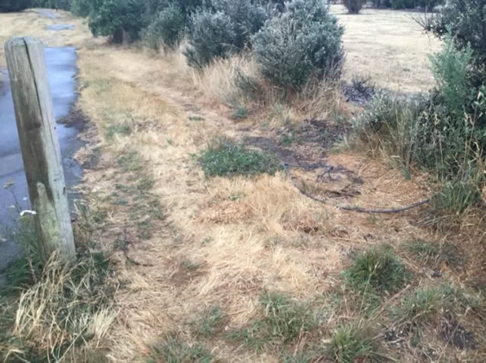 The photograph attached to this parks report