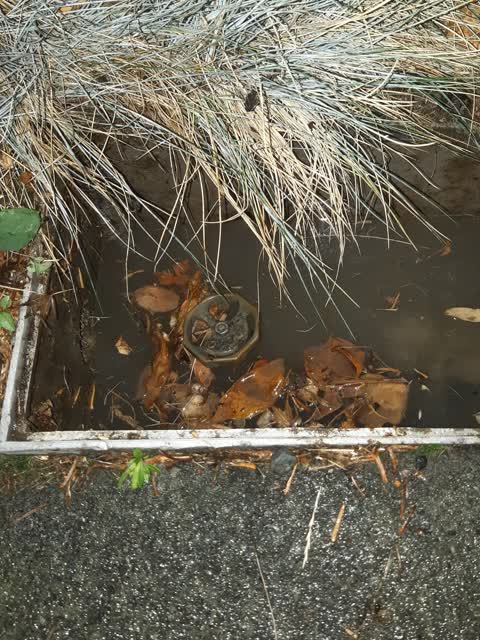 Water Supply, a report photo