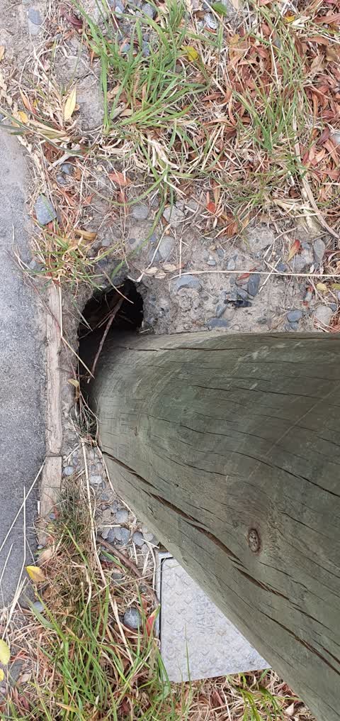 Wastewater/Stormwater, a report photo