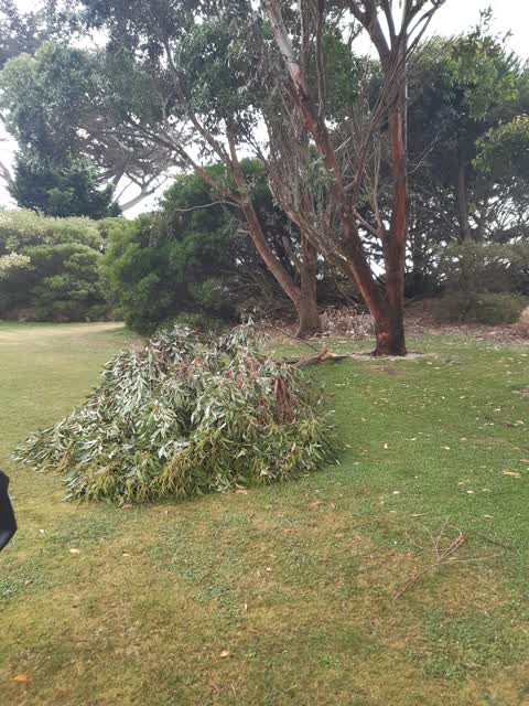 Parks, a report photo
