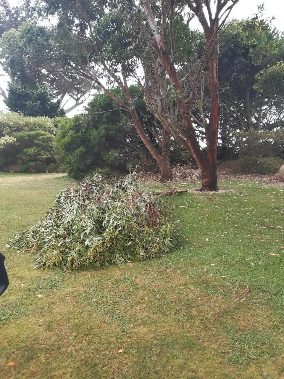 The photograph attached to this parks report