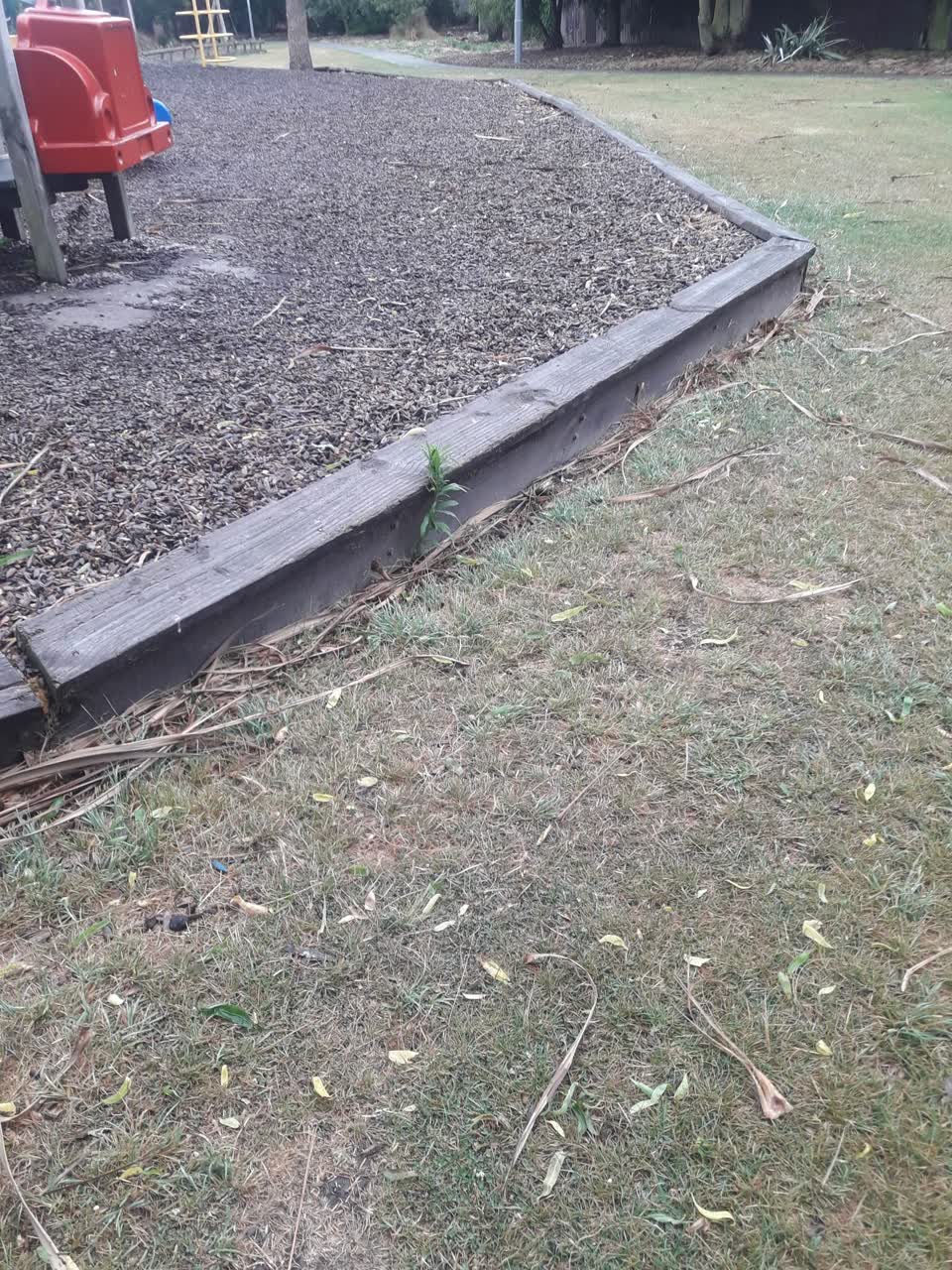 The photograph attached to this parks report