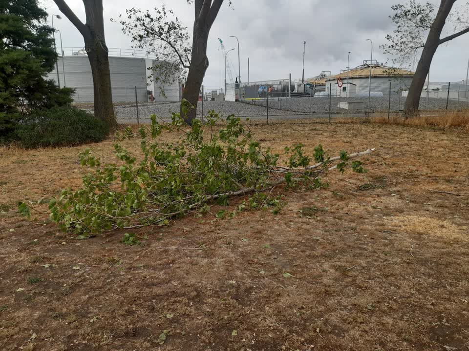 The photograph attached to this parks report