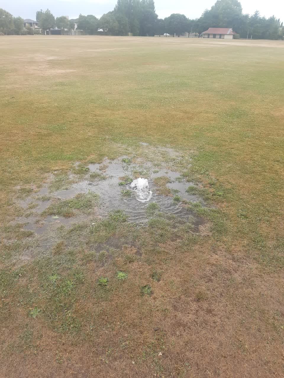 The photograph attached to this parks report