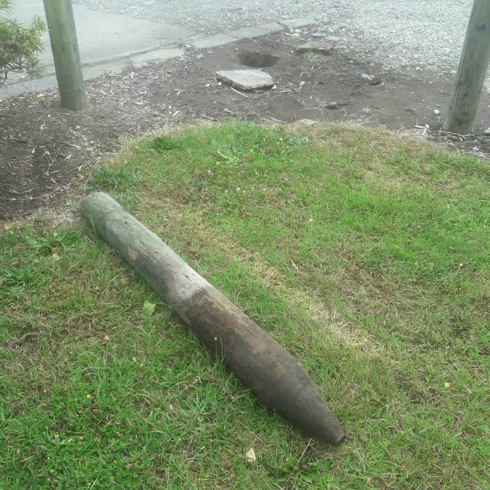 The photograph attached to this parks report