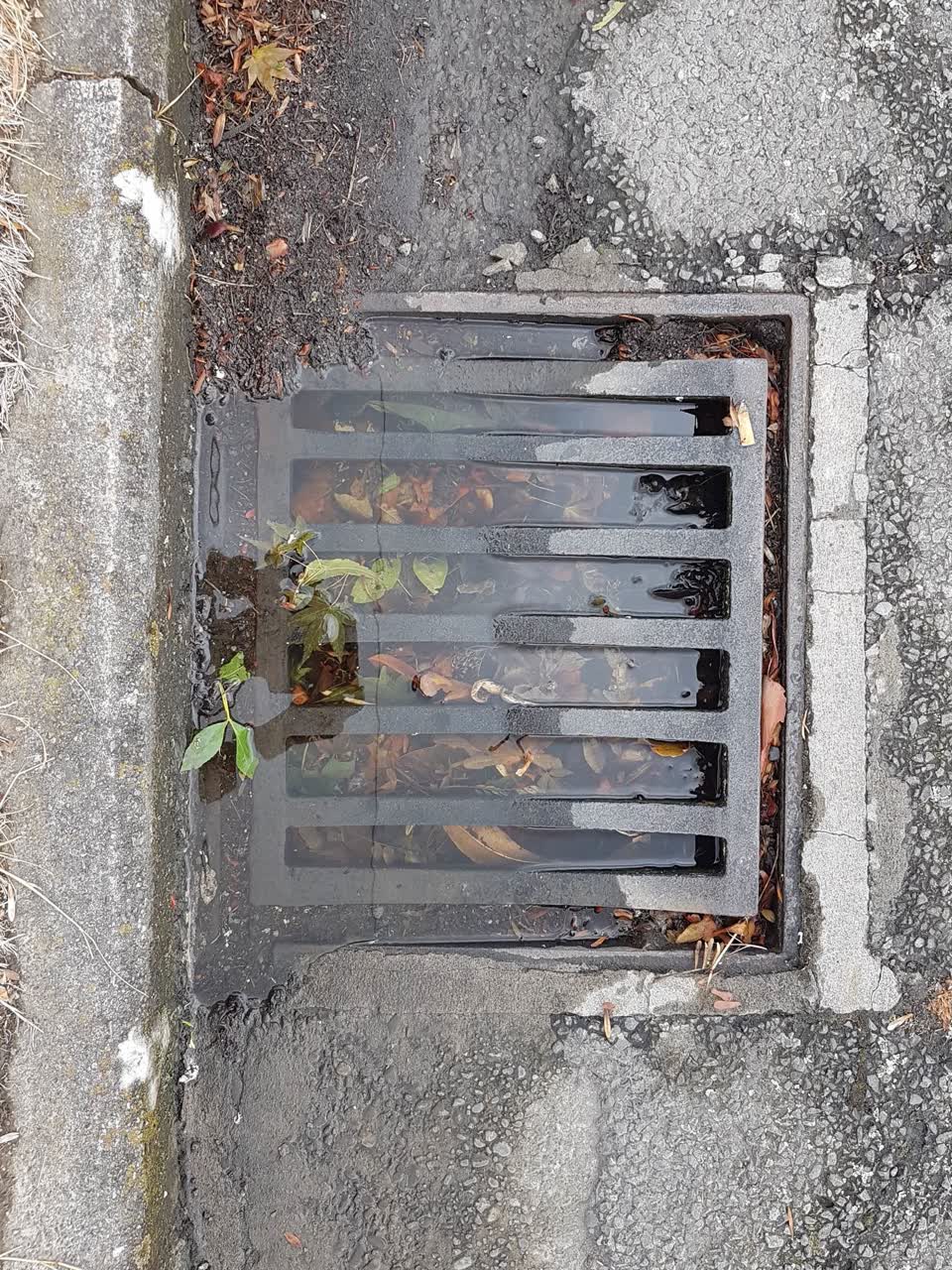 The photograph attached to this wastewater/stormwater report