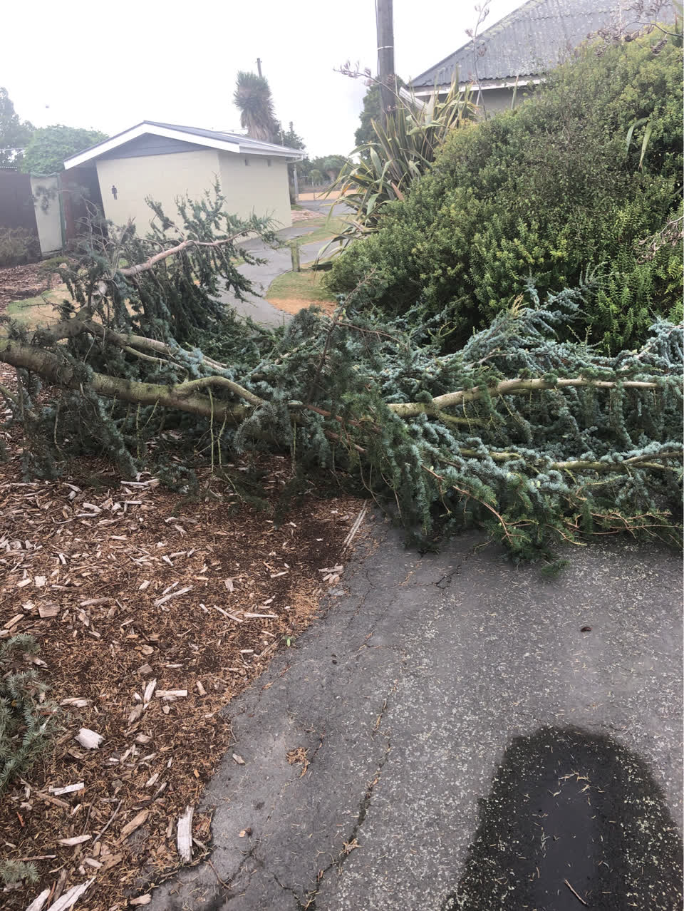 The photograph attached to this parks report