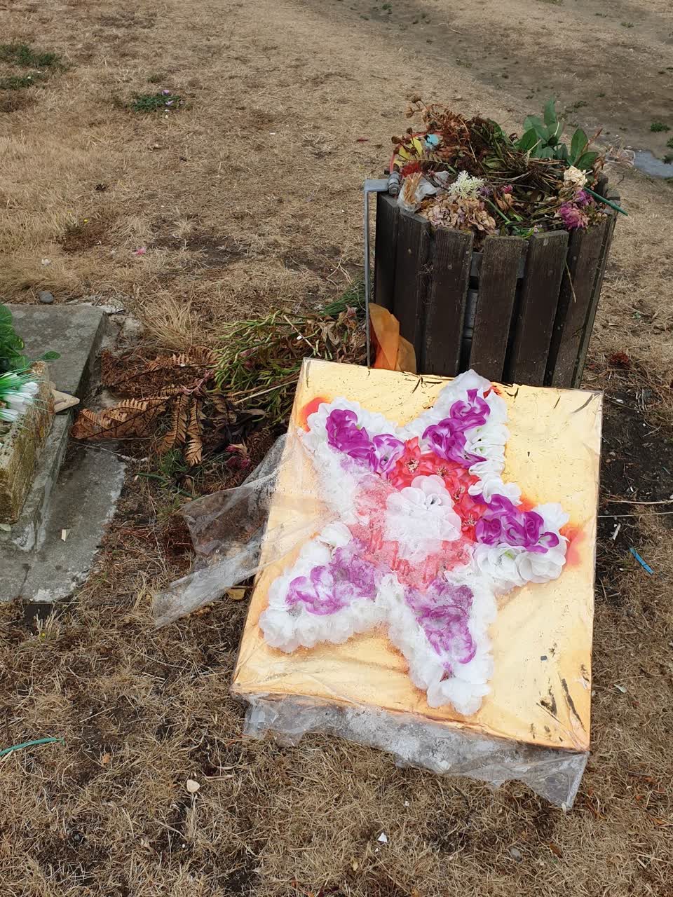 The photograph attached to this parks report