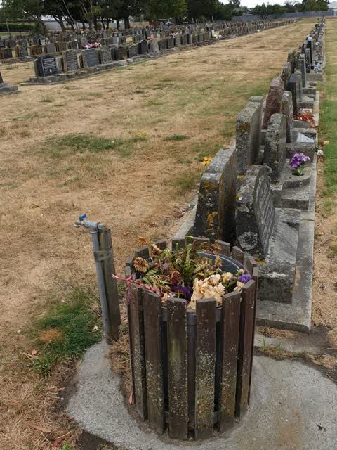 Parks, a report photo