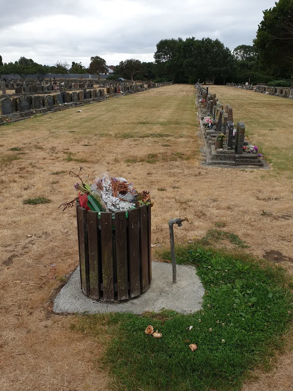The photograph attached to this parks report