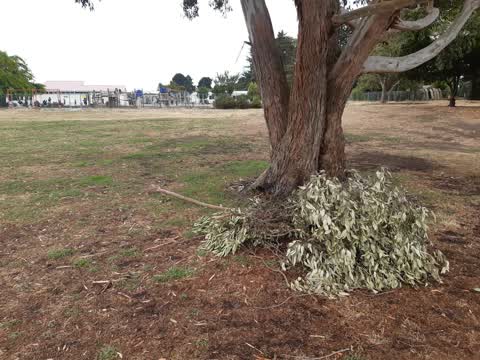 Parks, a report photo