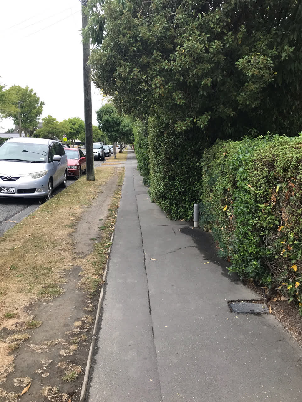 The photograph attached to this roading/streets report