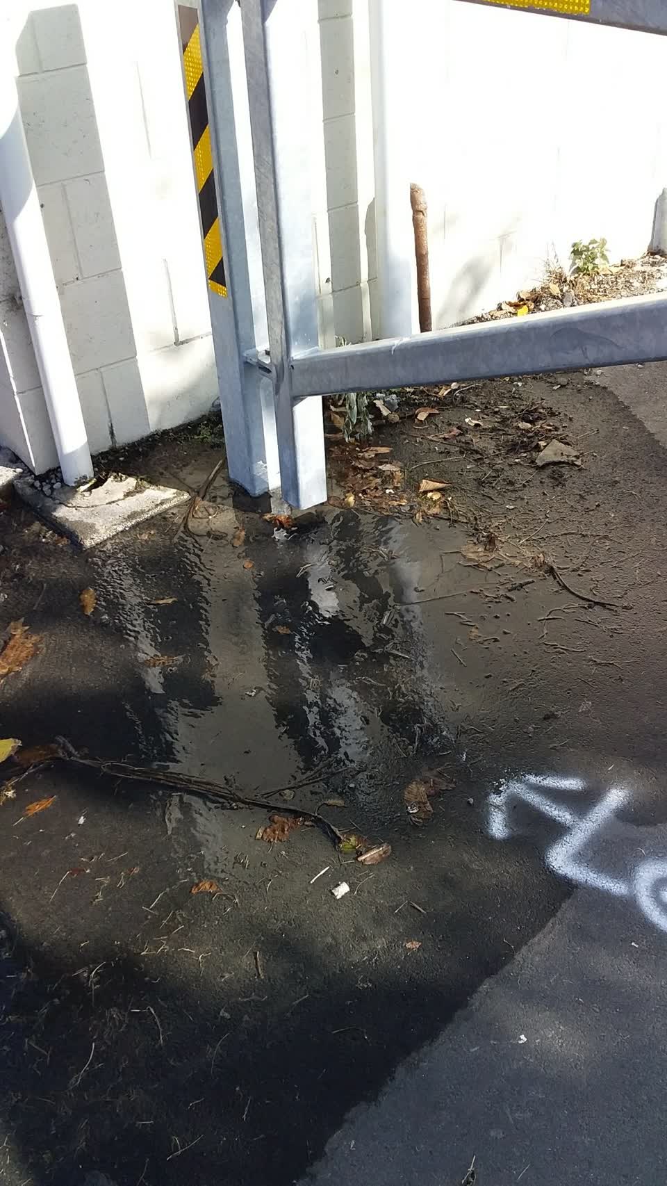 The photograph attached to this parks report