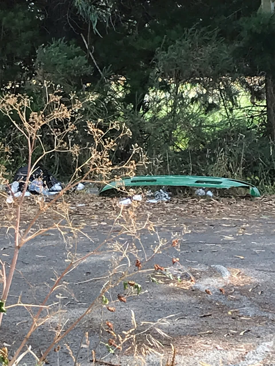 The photograph attached to this rubbish/recycling report