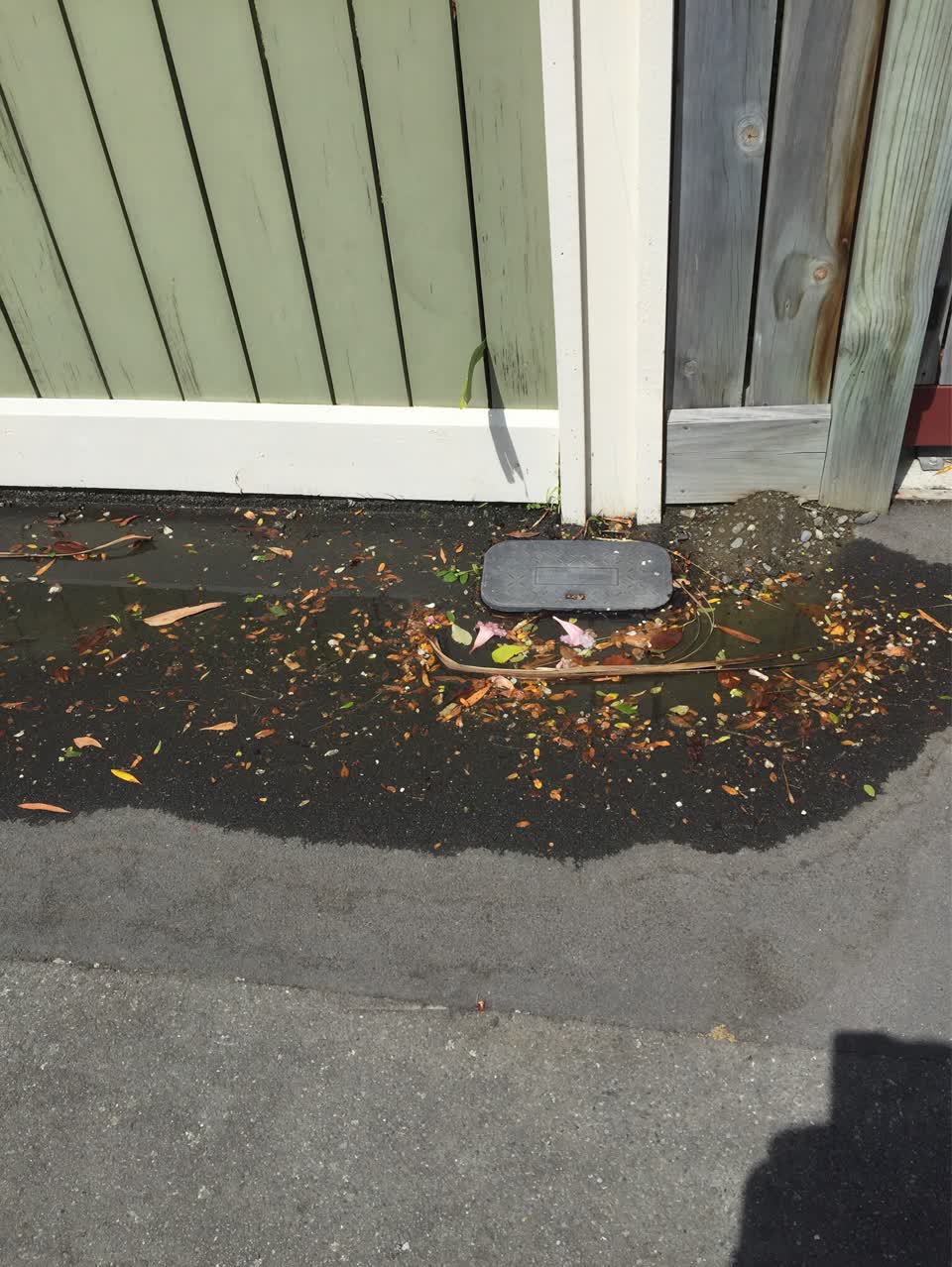The photograph attached to this water supply report