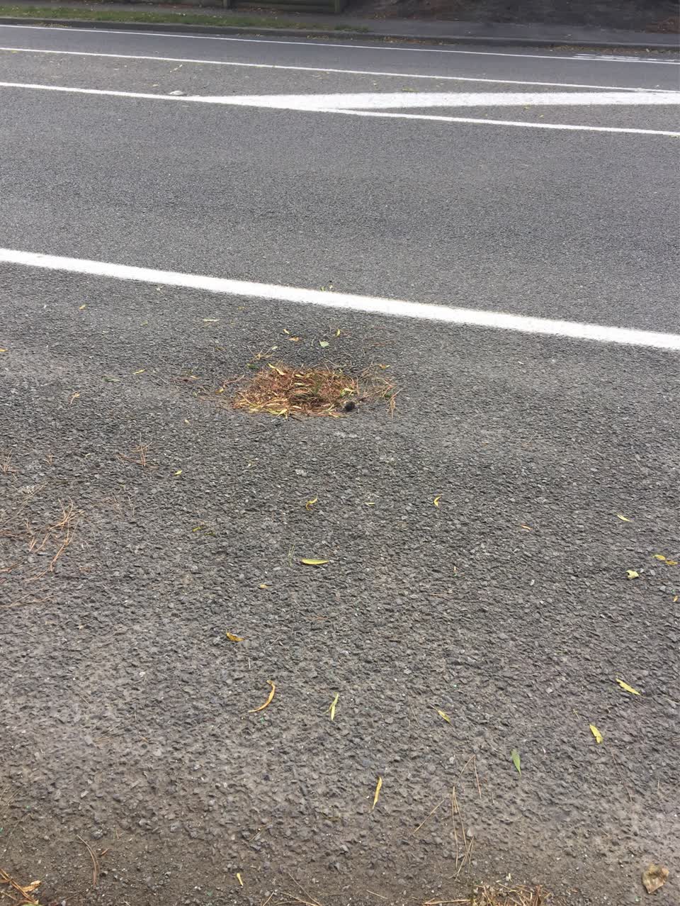 The photograph attached to this roading/streets report