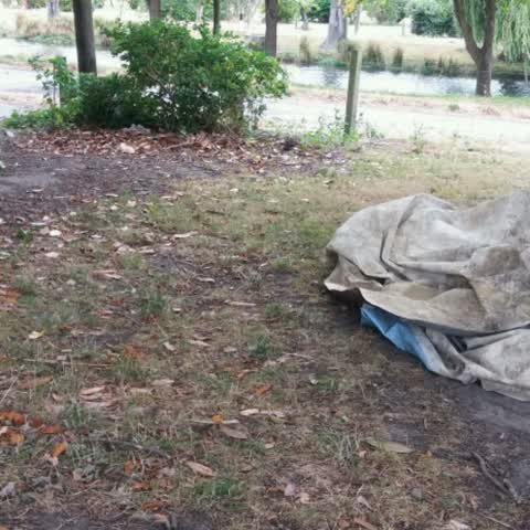 Rubbish/Recycling, a report photo