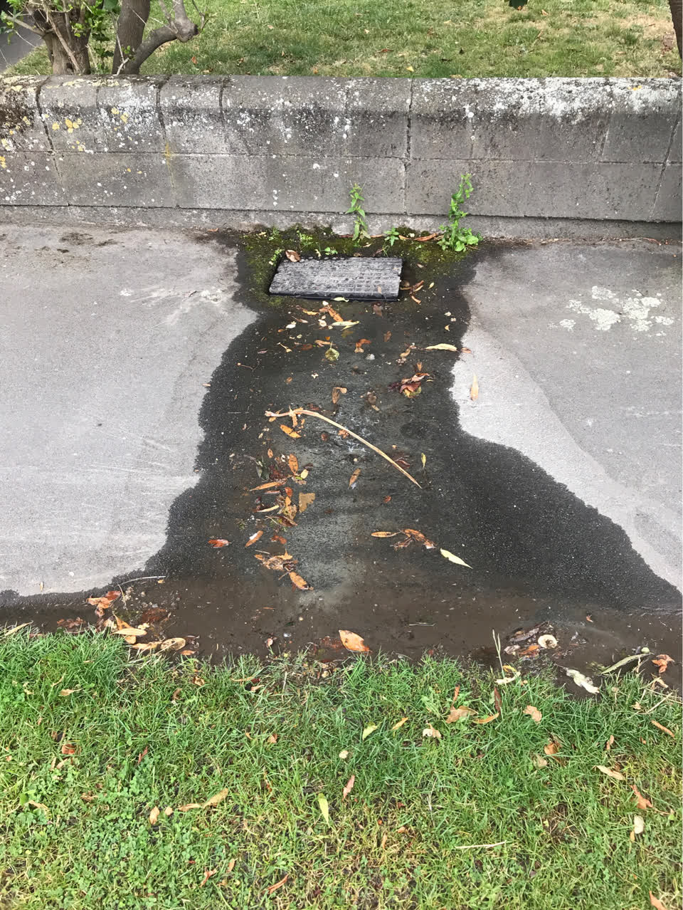 The photograph attached to this water supply report