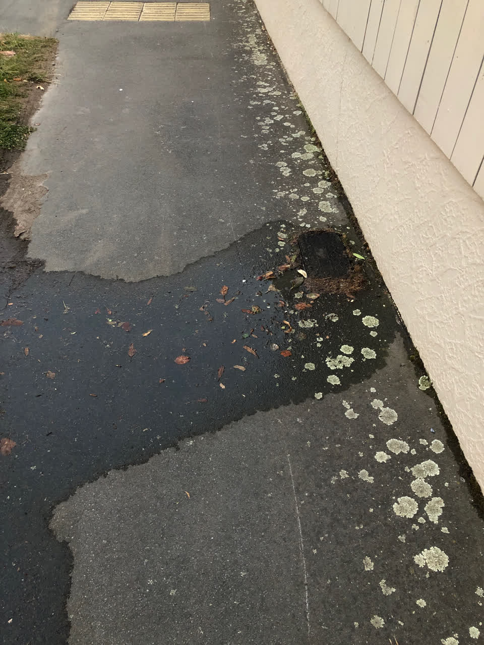 The photograph attached to this water supply report